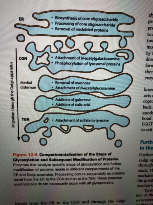 Solved Could someone please help with a diagram for a part | Chegg.com
