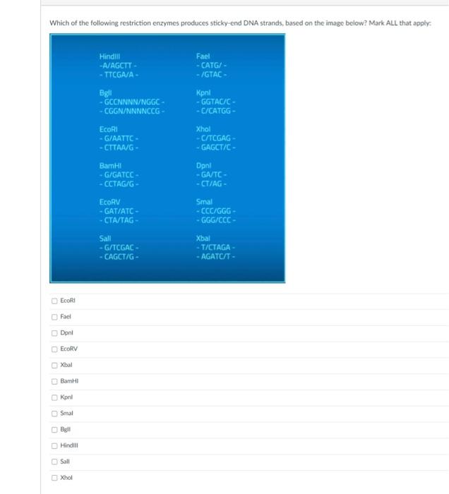 Solved Which Of The Following Restriction Enzymes Produces | Chegg.com