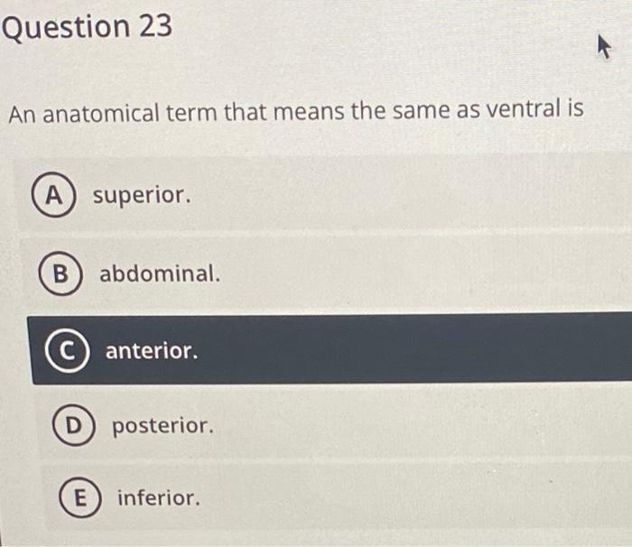 Anatomical Term That Means The Same As Ventral