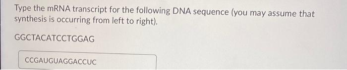 Solved Type the mRNA transcript for the following DNA | Chegg.com
