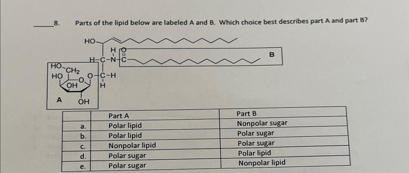 Solved Parts of the lipid below are labeled A and B. ﻿Which | Chegg.com