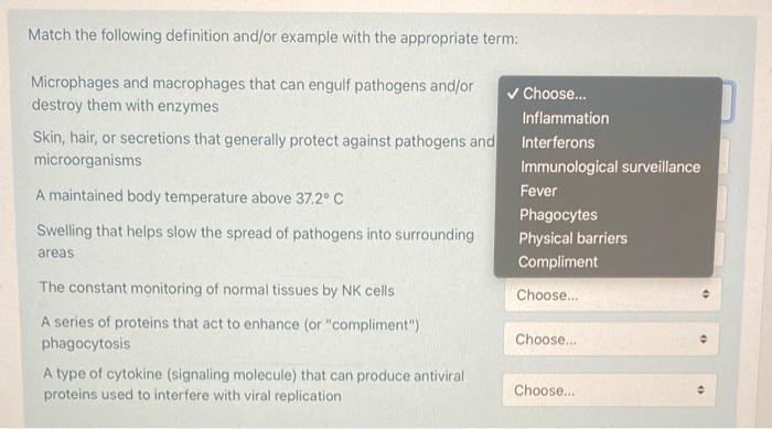 Match The Following Definition And Or Example With Chegg Com