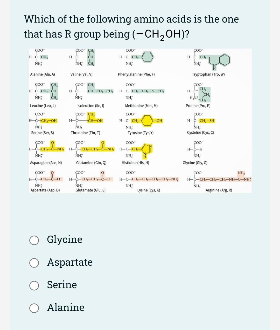 Solved Which of the following amino acids is the one that | Chegg.com