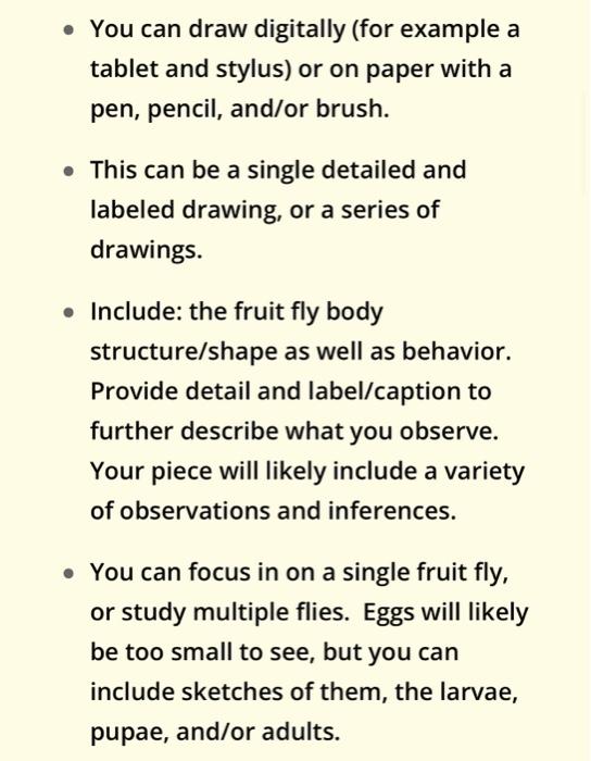 fruit flies were used as experimental material by morgan as