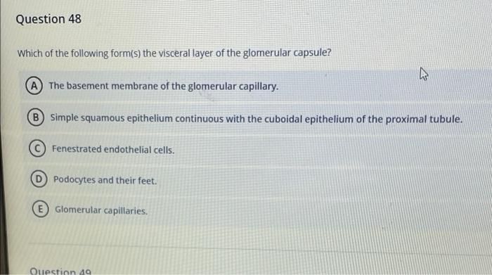 Solved Question 47 Where are podocytes found? A Parietal | Chegg.com