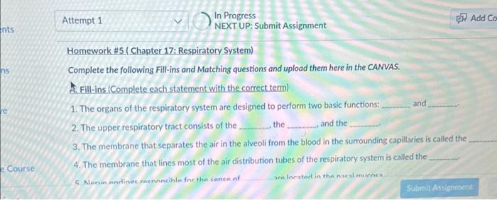 Solved Homework \#5 (Chapter 17: Respiratory System) | Chegg.com