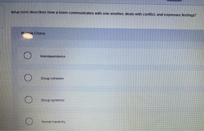 solved-what-term-describes-how-a-team-communicates-with-one-chegg