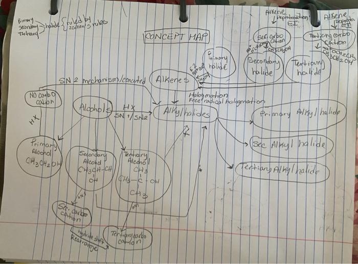 Solved Draw A Concept Map Using The Alkene | Chegg.com