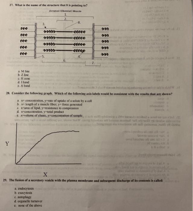 Solved 27 What Is The Name Of The Structure That Is Poin Chegg Com