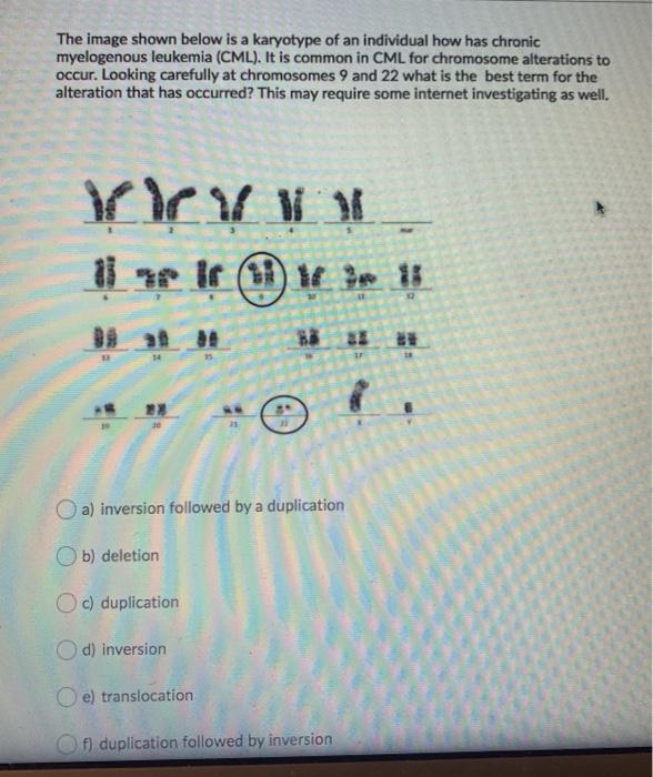 Solved The image shown below is a karyotype of an individual | Chegg.com