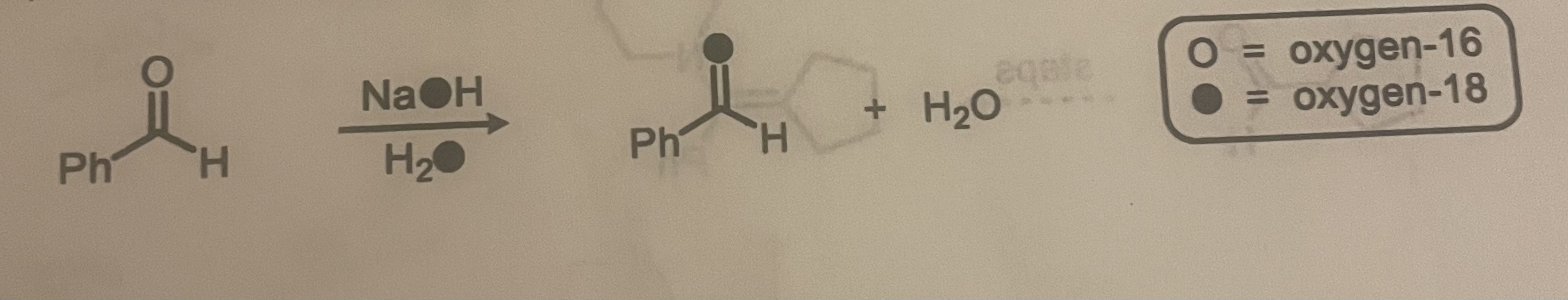 Solved Please provide the Step by step mechanism for this | Chegg.com