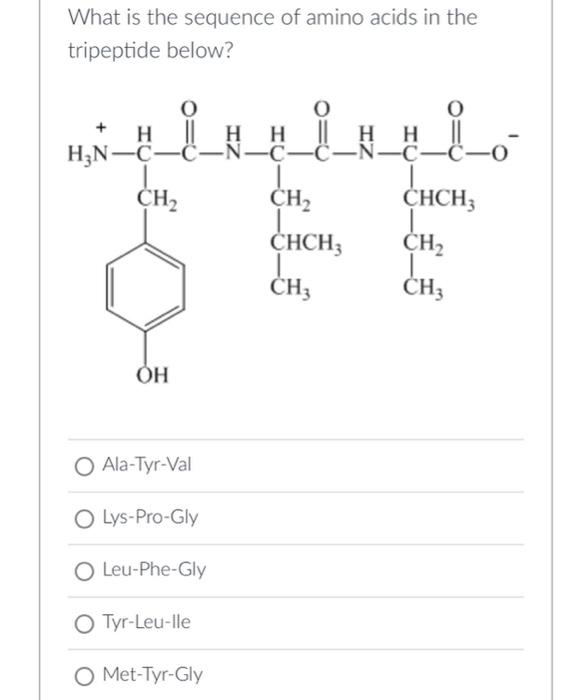 Solved What is the sequence of amino acids in the tripeptide