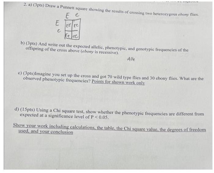 Solved I got the answer to number 2a I need to be to see and | Chegg.com