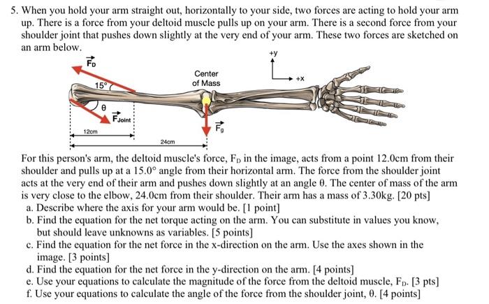 Solved 5. When you hold your arm straight out, horizontally | Chegg.com