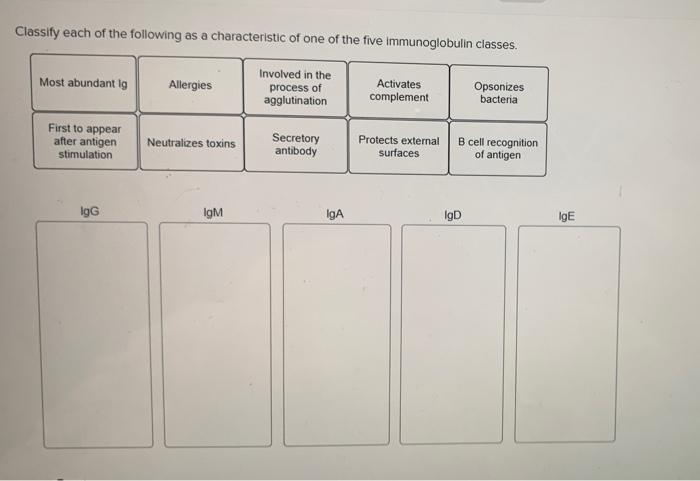 Solved Classify each of the following as a characteristic of | Chegg.com