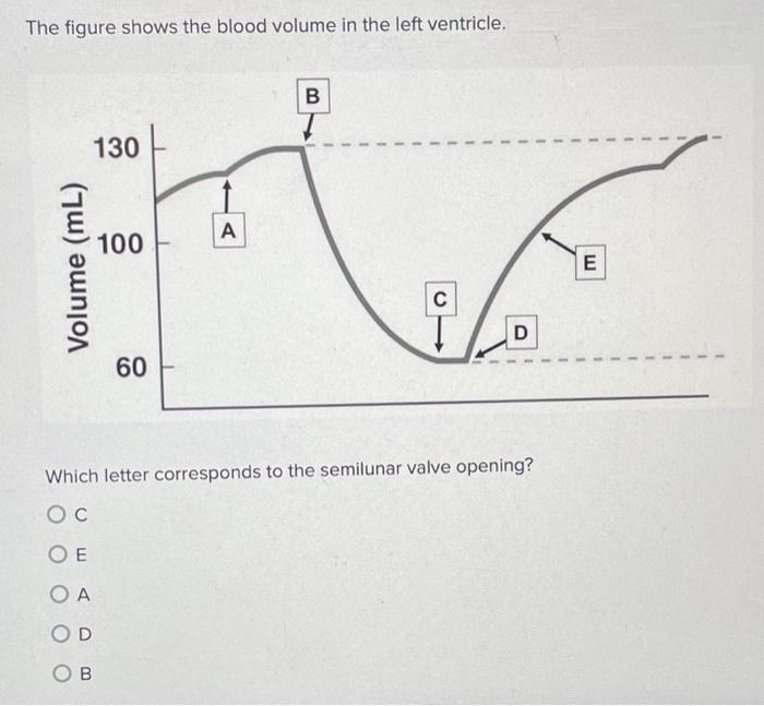 Solved What happens during the isovolumetric contraction | Chegg.com
