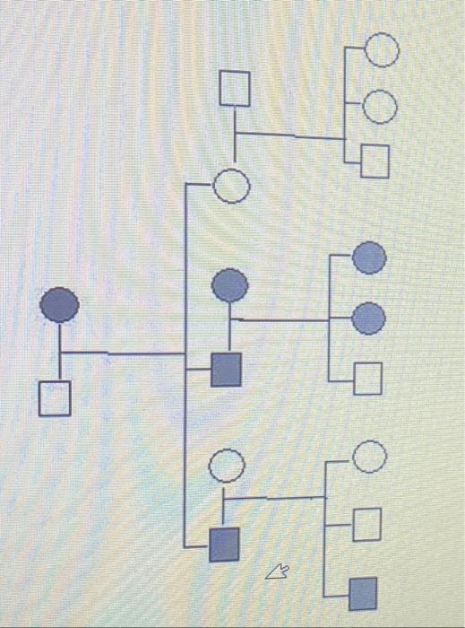 Is brachydactyly a dominant or recessive trait? How | Chegg.com