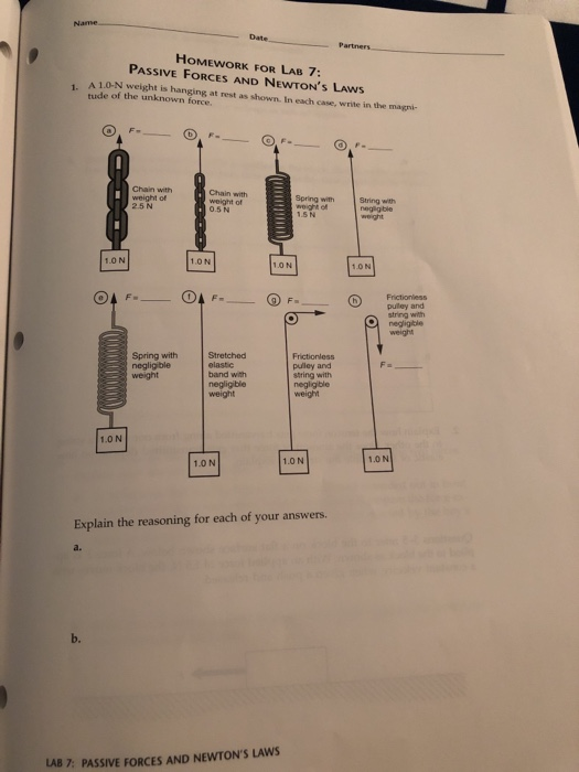 Passive force muscle picture