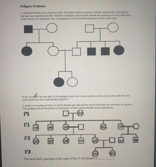 Solved Pedigree Problems 1. Attached earlobes are a | Chegg.com