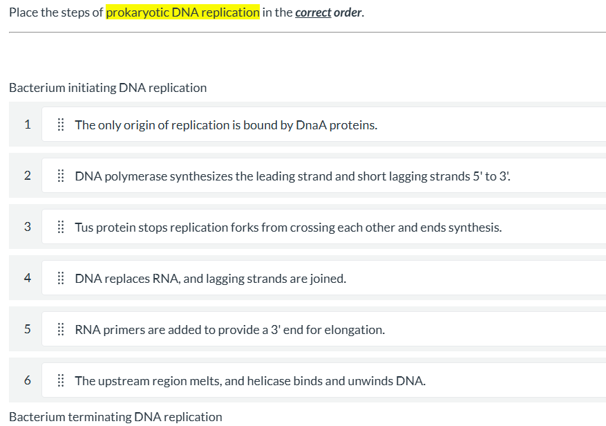 Solved Place the steps of ﻿prokaryotic DNA replication in | Chegg.com