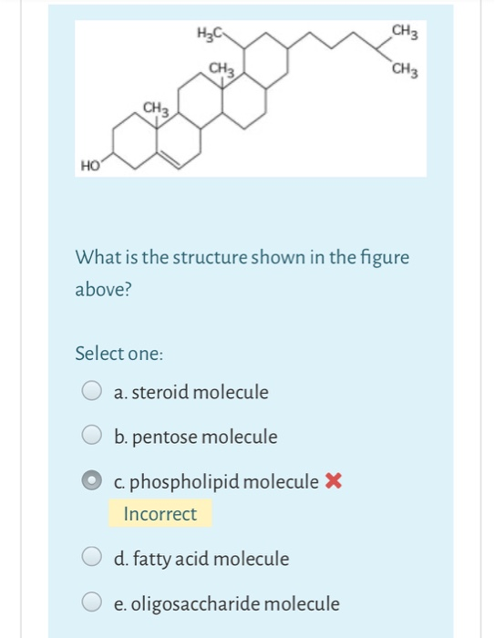 Which Of The Following Is True Of Anabolic Reactions Solved Which of the following is (are) true for anabolic | Chegg.com
