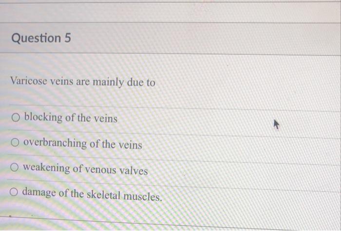 Solved Question 1 Which Of The Following Blood Vessel Has | Chegg.com