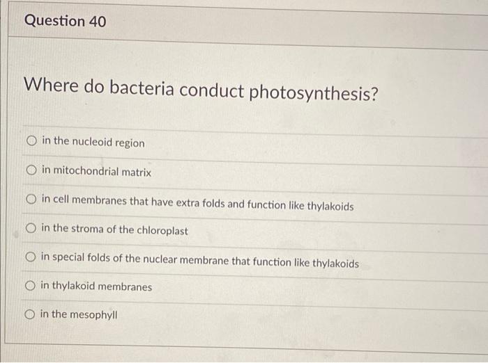Solved Question 40 Where Do Bacteria Conduct Photosynthesis Chegg