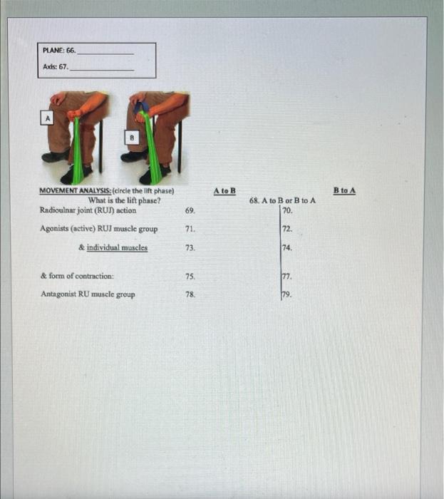 Solved NAME: Movement Analysis II - Upper Extremity PLANE 1 | Chegg.com