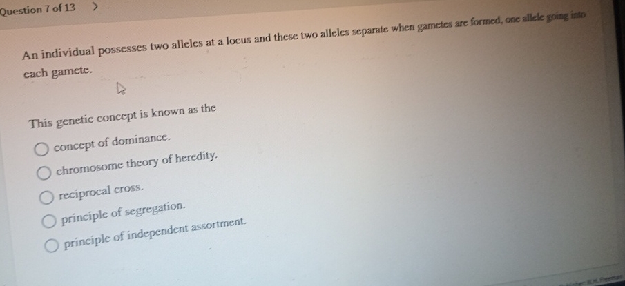 Solved Question 7 ﻿of 13An individual possesses two alleles | Chegg.com