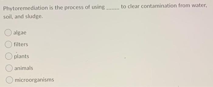 Solved Phytoremediation Is The Process Of Using _____ To | Chegg.com