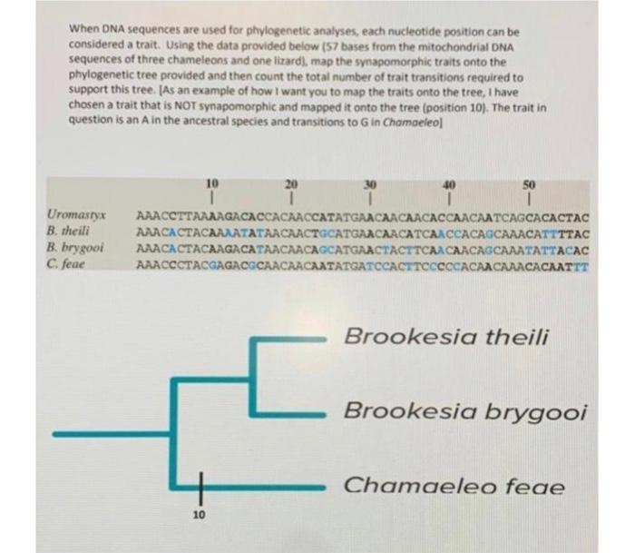 When DNA sequences are used for phylogenetic analyses, each nucleotide position can be considered a trait. Using the data pro