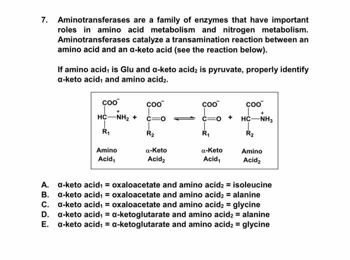 Solved Aminotransferases are a family of enzymes that have | Chegg.com