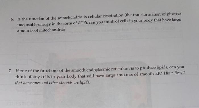 Solved THE ANIMAL CELL INTRODUCTION The eukaryotic cell is | Chegg.com