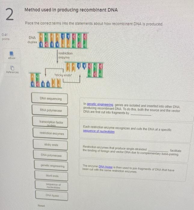 Solved Method used In producing DNA Place the
