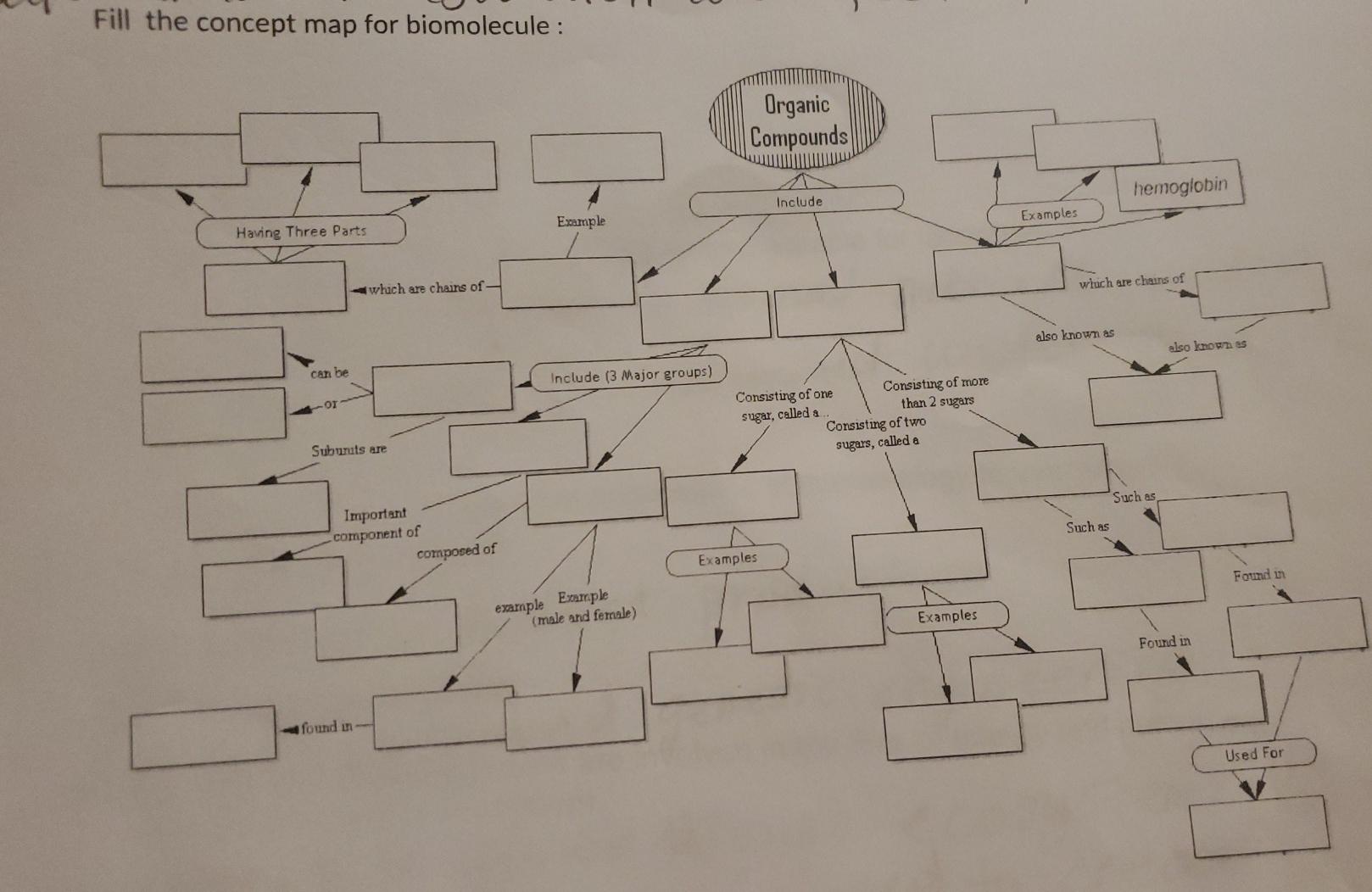 Solved Fill The Concept Map For Biomolecule Organic Com Chegg Com