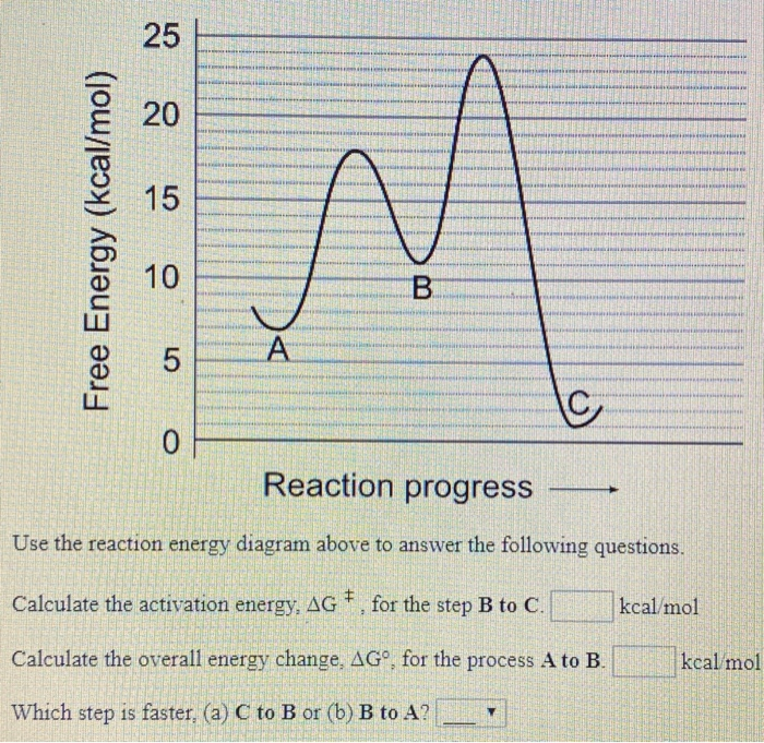 Solved ..... ..... Free Energy (kcal/mol) . HAHALLERIE ES | Chegg.com