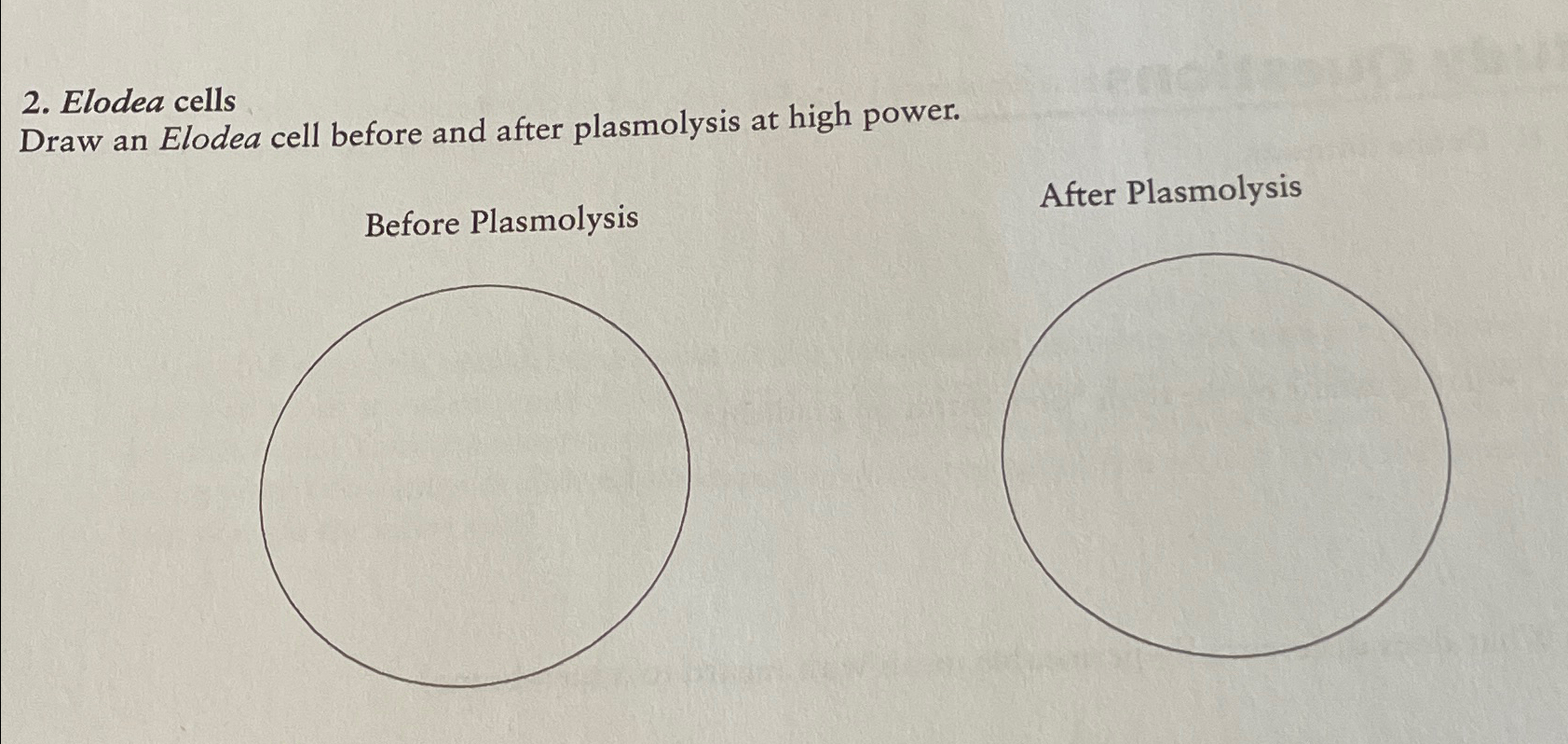 Solved Elodea Cellsdraw An Elodea Cell Before And After Chegg