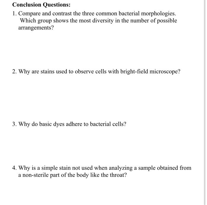 Solved Lab Module 5 Bacterial Smear and Simple Stain Lab