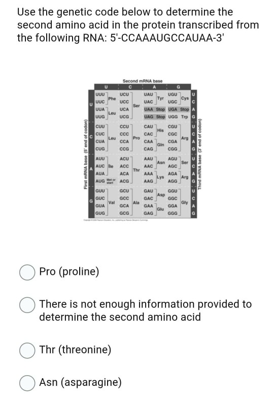 Solved Use The Genetic Code Below To Determine The Second Chegg Solved Use The Genetic Code Below To Determine The Second Chegg