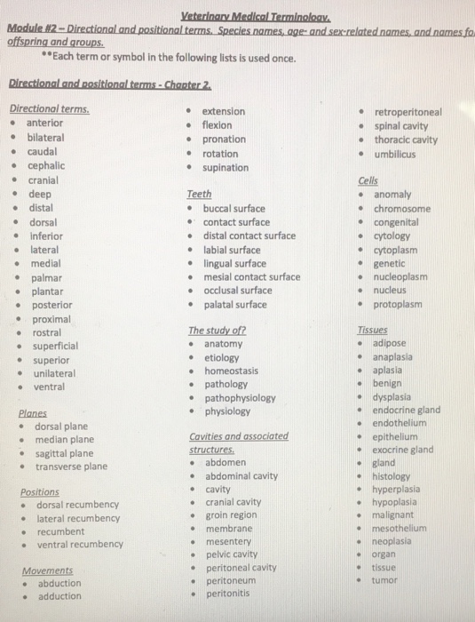 solved-subject-veterinary-medical-terminologywrite-a-chegg