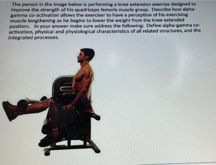 Solved The person in the image below is performing a knee | Chegg.com