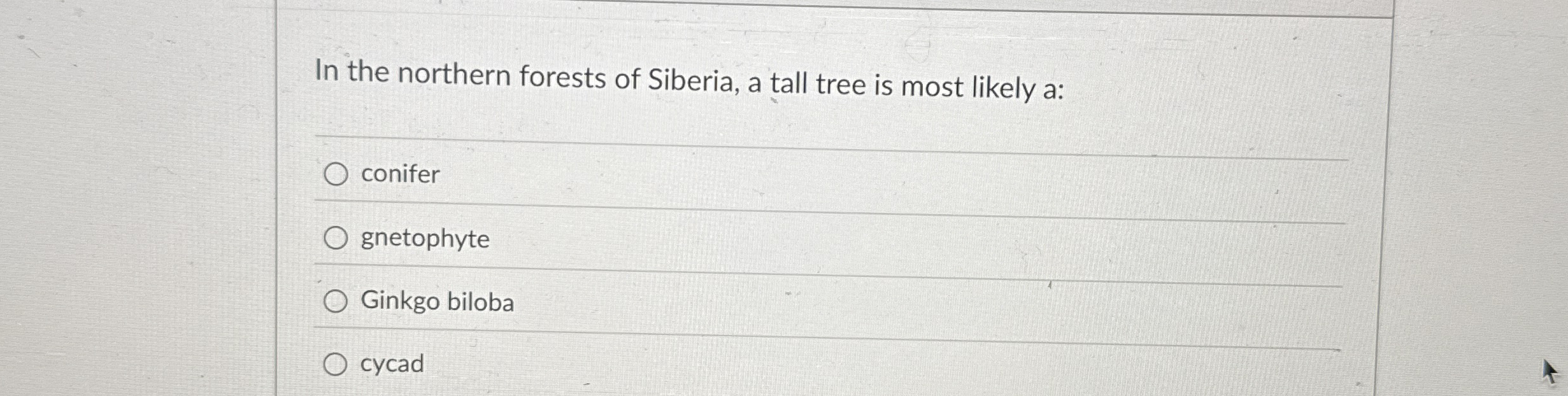 Solved In the northern forests of Siberia, a tall tree is