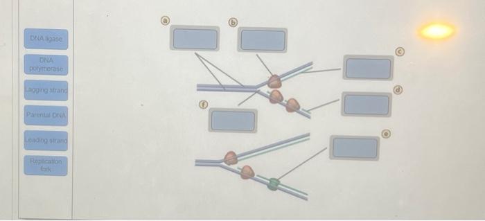 Solved match | Chegg.com