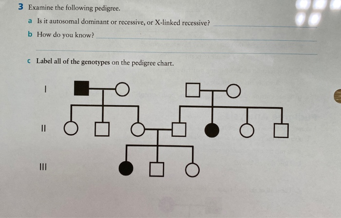 Solved 3. Examine the following pedigree.a) Is it autosomal | Chegg.com