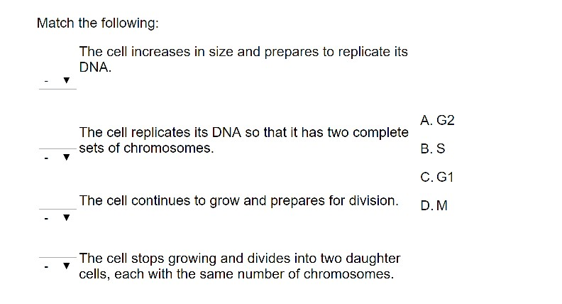 solved-match-the-following-the-cell-increases-in-size-and-chegg