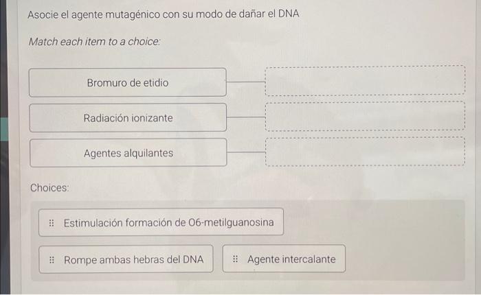 Asocie el agente mutagénico con su modo de dañar el DNA Match each item to a choice: Choices: