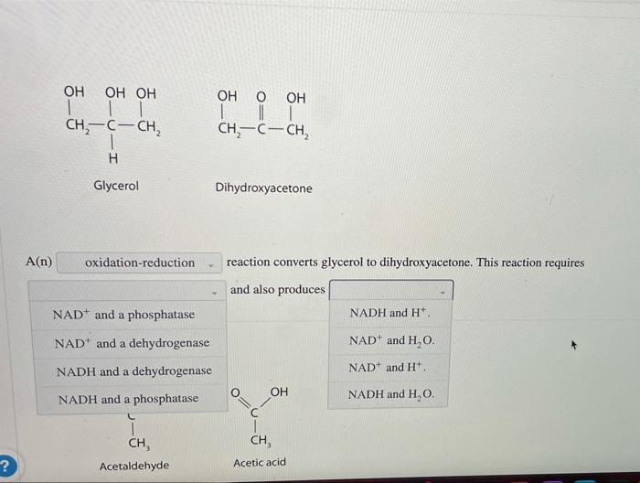 Solved For each pair of biomolecules, identify the type of