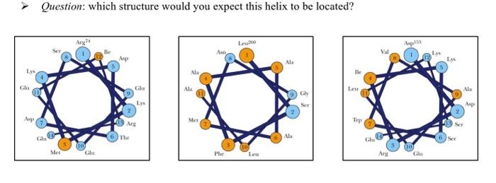 Question: which structure would you expect this helix | Chegg.com