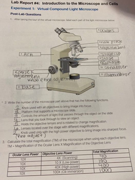 solved-lab-report-4-introduction-to-the-microscope-and-chegg
