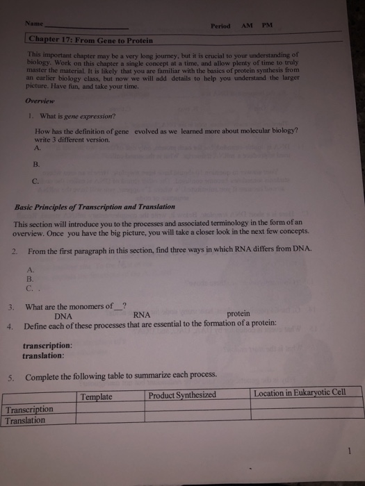 solved name period am pm chapter 17